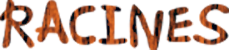 Titre Racines 72x229x50