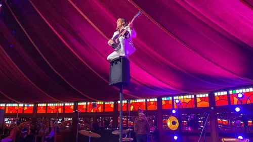 Galerie Cirk and Swing (11)