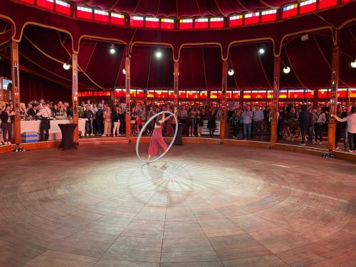 Galerie Cirk and Swing (3)