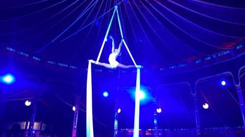 Galerie Cirk and Swing (8)